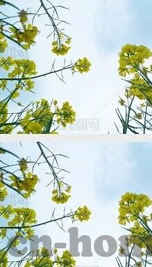 2022大象传媒视频dx-2022年大象传媒视频DX，创新与融合的年度回顾