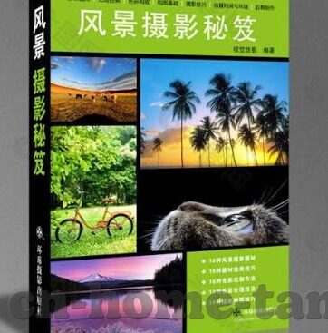 91麻豆影院免费观看-██低俗与灰色地带，探索91麻豆影院免费观看背后的社会现象