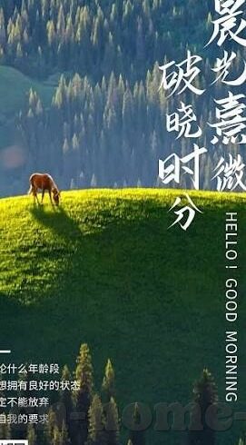 豆奶人抖音app大象传媒-豆奶人，抖音app与大象传媒的跨界融合新篇章