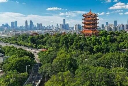 麻豆av中文字网在线观看免费-麻豆av，网络时代下的光影交织