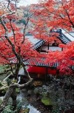 糖心app下载官网苹果-体验完美娱乐的钥匙——揭秘糖心APP