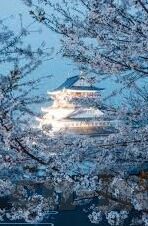 糖心官网下载入口-糖心官网下载指南——解锁精彩内容的不二之选